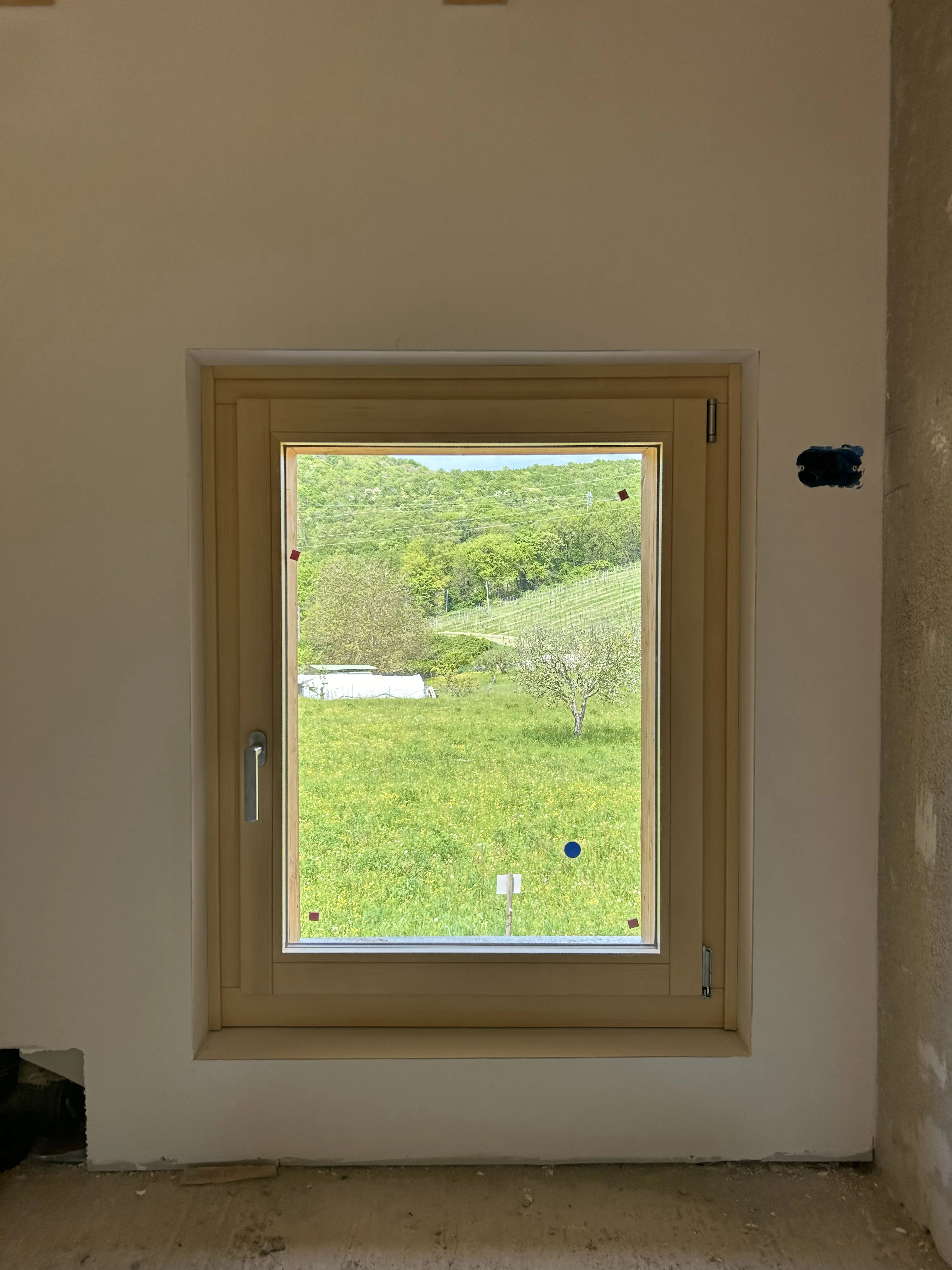 Tronchi di alberi tagliati